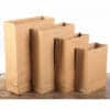 Plain Gift Multiple Sizes Biodegradable Paper Bag - Image 14