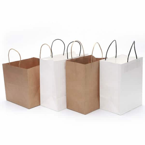 Flat Carrier White Paper Bag - Image 12