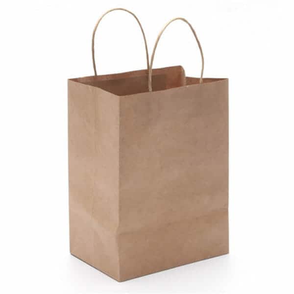 Flat Carrier White Paper Bag - Image 10