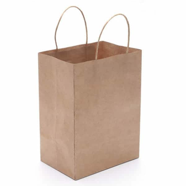 Flat Carrier White Paper Bag - Image 11