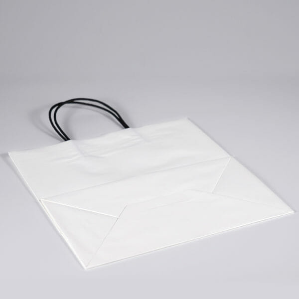 Flat Carrier White Paper Bag - Image 4