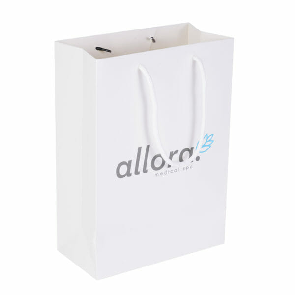 Custom paper bag with logo print paper shopping bag price paper gift bag made in china