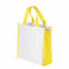 Collapsible dry fish travel tote shopping thermal large mini small cooler bag insulated lunch