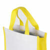 Collapsible dry fish travel tote shopping thermal large mini small cooler bag insulated lunch - Image 3