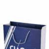 Shopping Print Custom Jewelry Shoe Package Paper Bag with Logo - Image 7