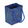 Shopping Print Custom Jewelry Shoe Package Paper Bag with Logo
