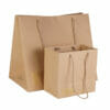 Custom Printed Brown Paper Bag