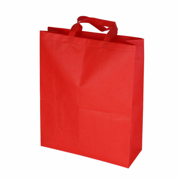 NON WOVEN BAG N12060 (4)