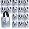 CXJ-N120011 80gsm Shine Laser Non Woven Bag