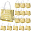 CXJ-N24020 80gsm Customized Metallic Non Woven Shopping Tote Bag