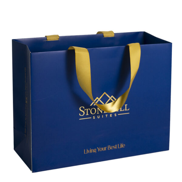 Blue Bronzing Silk Ribbon 120gsm Customized Printed Paper Cardboard Gift Bag