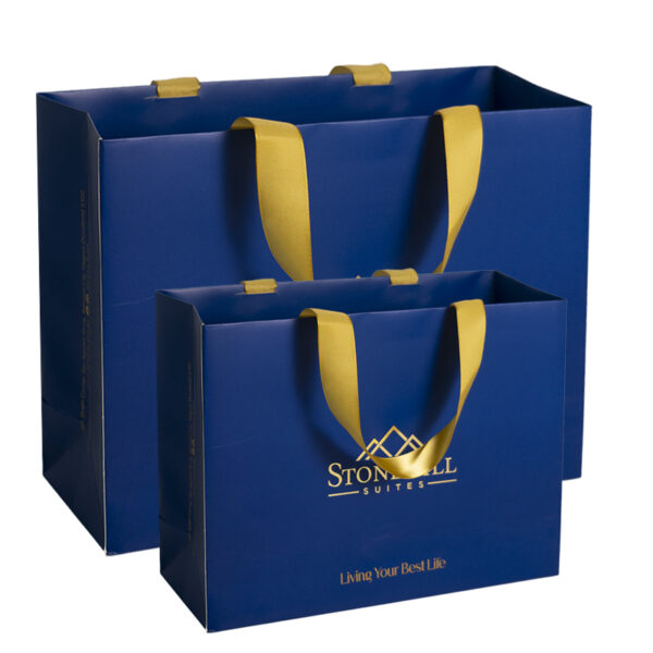 Blue Bronzing Silk Ribbon 120gsm Customized Printed Paper Cardboard Gift Bag - Image 3