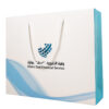 White Cardboard 150gsm Personal Customized Printed Paper Shopping Bag - Image 3