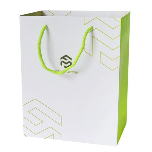 Double Color Splicing Customized Gift Paper Bag